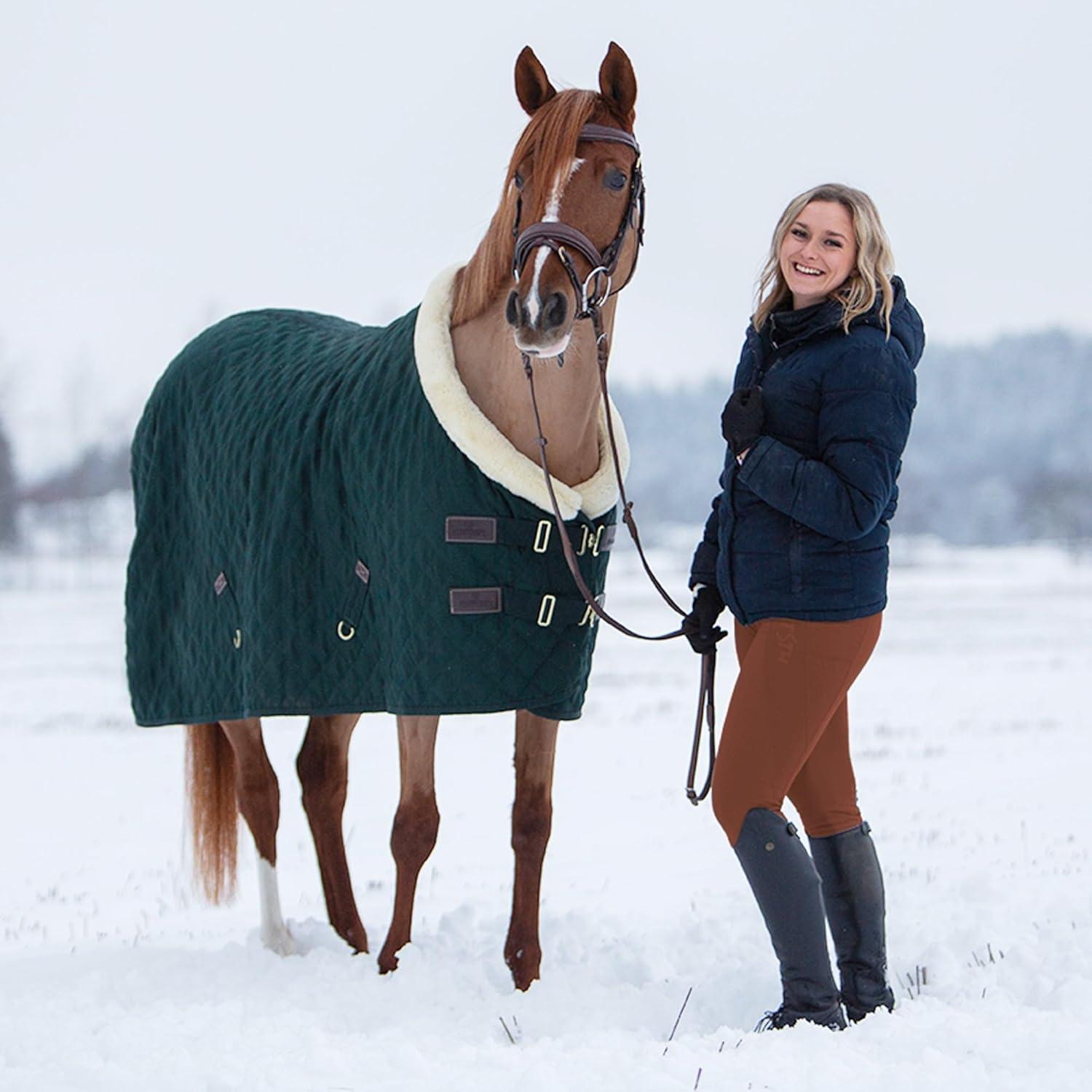 imageFitsT4 Sports Womens Winter Riding Breeches Fleece Lined Horse Riding Pants Tights Full Seat Silicone Equestrian BreechesRust